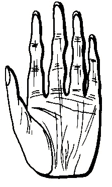 『手相学』掌指形状