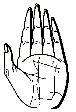 『手相学』掌指形状